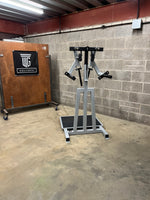Load image into Gallery viewer, Standing Lateral Raise
