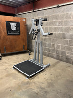 Load image into Gallery viewer, Standing Lateral Raise
