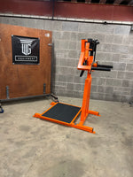 Load image into Gallery viewer, Standing Lateral Raise
